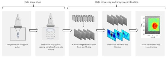 Shear wave research system